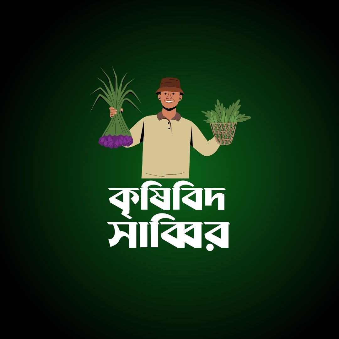 My Blog